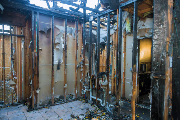Professional Smoke Damage Removal technician working in Perry Hall, MD